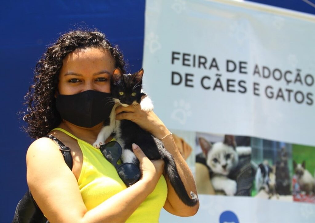 Última feira de adoção de cães e gatos de 2021 será no sábado