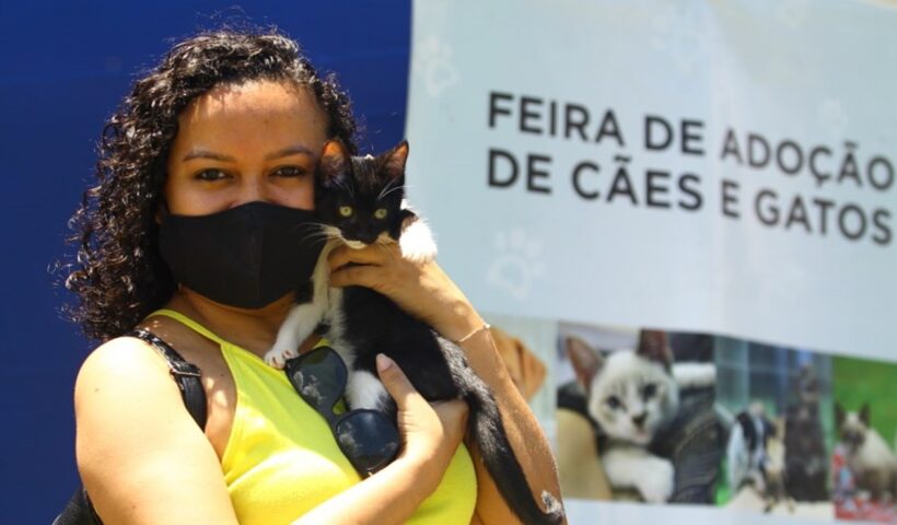 Última feira de adoção de cães e gatos de 2021 será no sábado