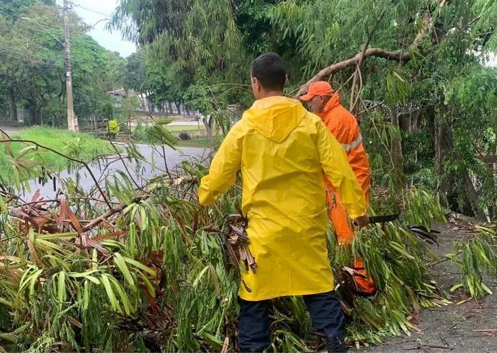 Forte chuva derruba árvores, telhados e causa transtornos em cidades do Vale