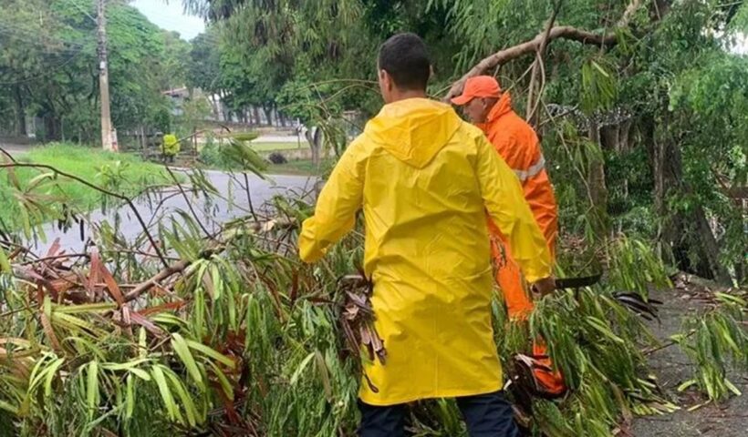 Forte chuva derruba árvores, telhados e causa transtornos em cidades do Vale