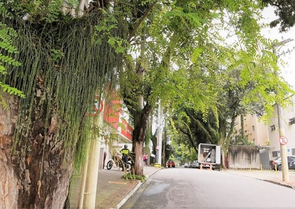 Rua Euclides Miragaia terá trecho interditado no sábado