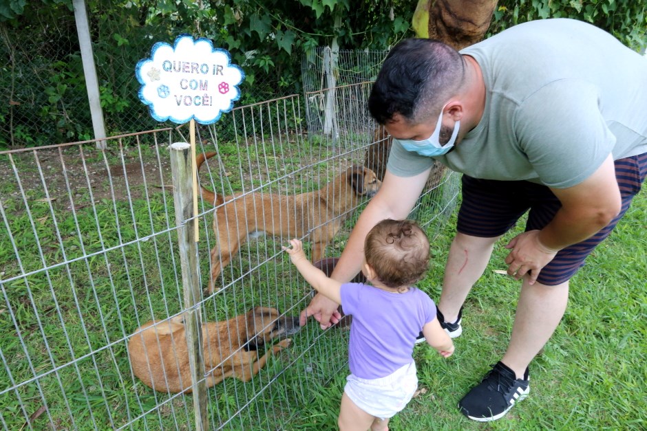 SJC realiza feira de adoção de cães e gatos neste sábado