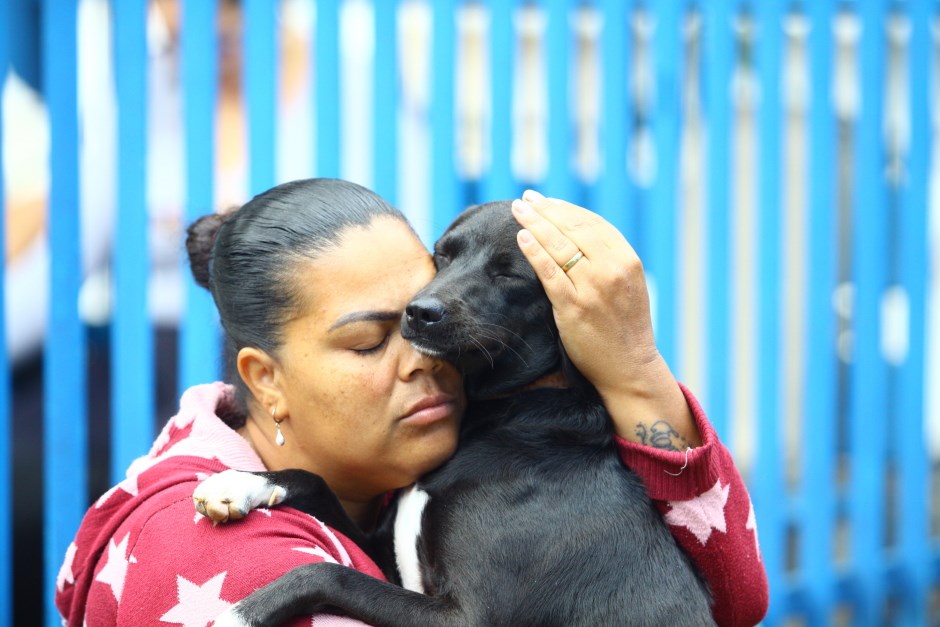 ‘Meu Pet Feliz’ castra 347 cães e gatos na região leste de SJC