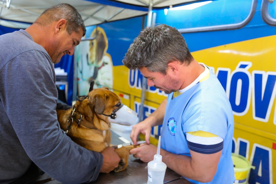 SJC realiza 290 castrações de cães e gatos no Cerejeiras