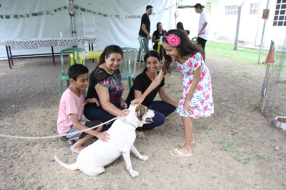 CCZ realiza feira de adoção de cães e gatos no sábado