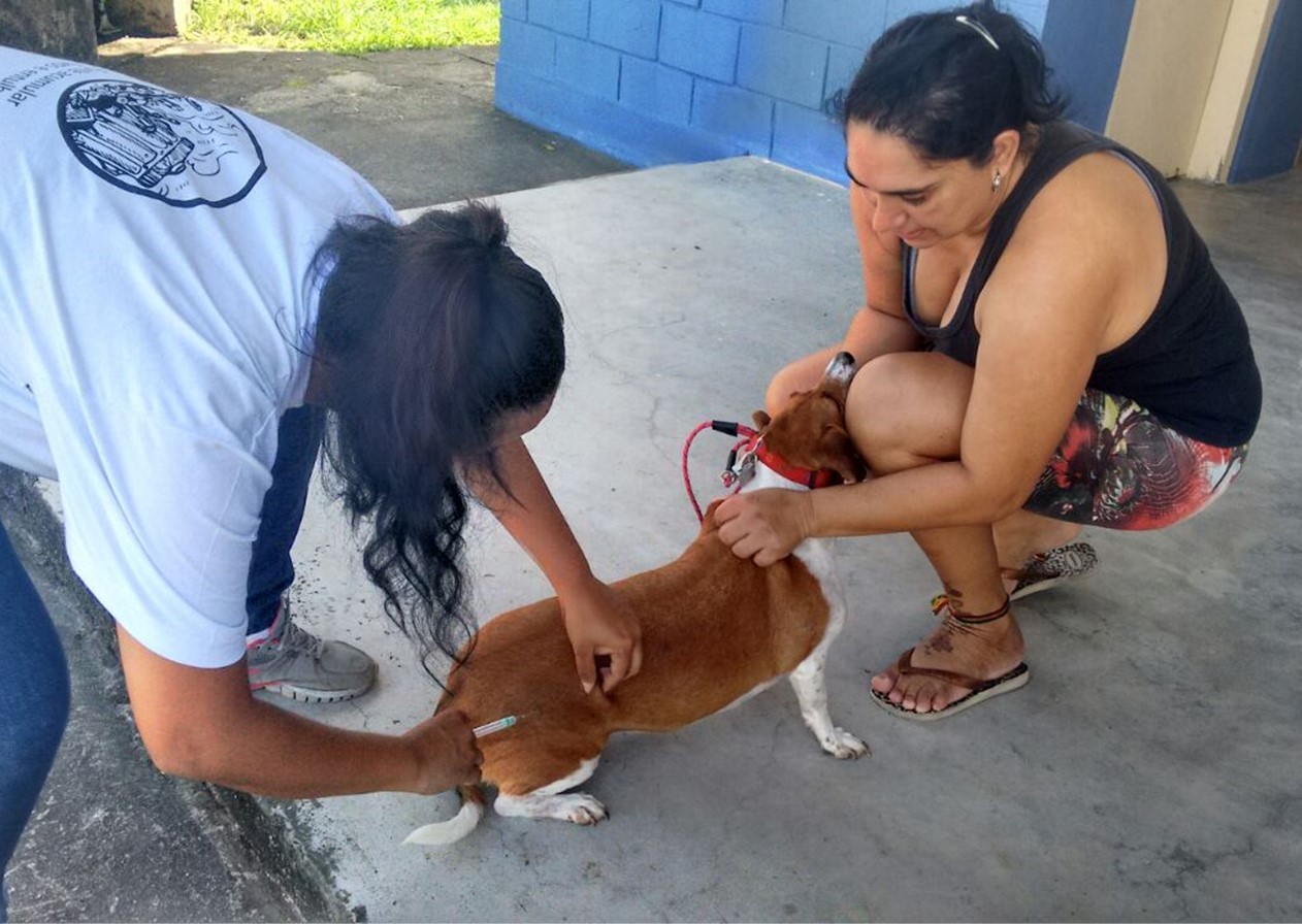 Taubaté realiza vacinação antirrábica nos bairros