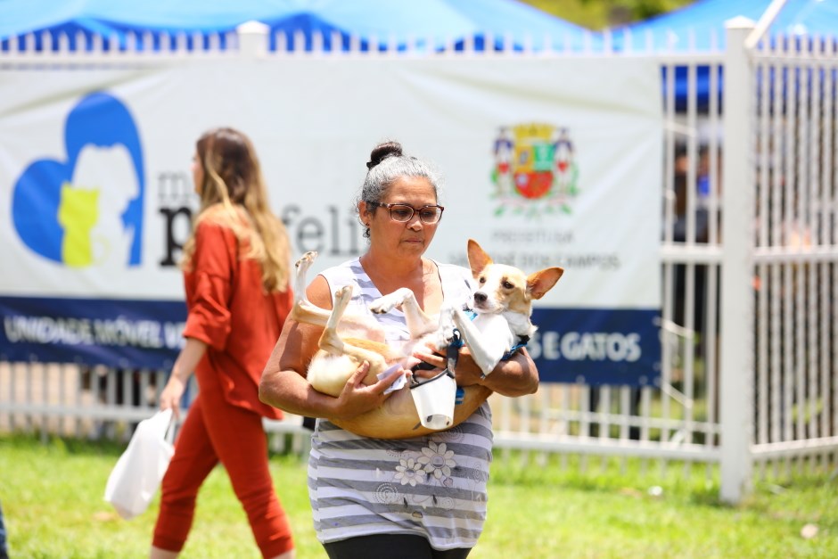 SJC abre 1.000 vagas para castração de cães e gatos