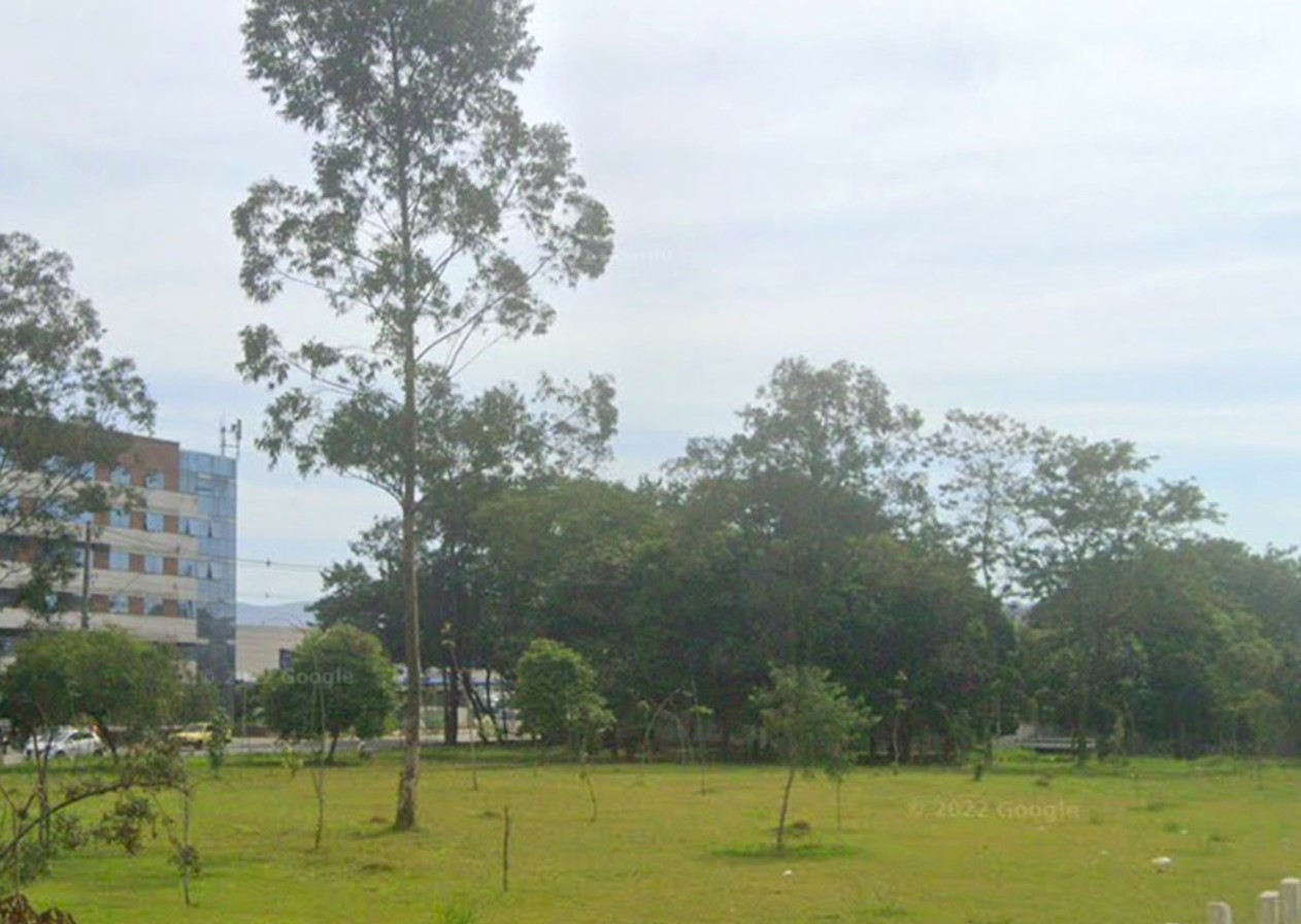 Corpo é encontrado pendurado em uma árvore, em Guarulhos