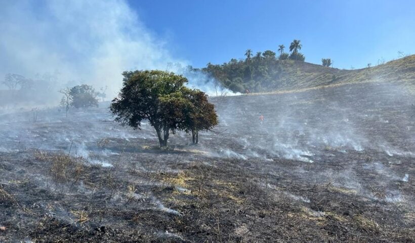 Incêndio consome área de 11 hectares em Taubaté