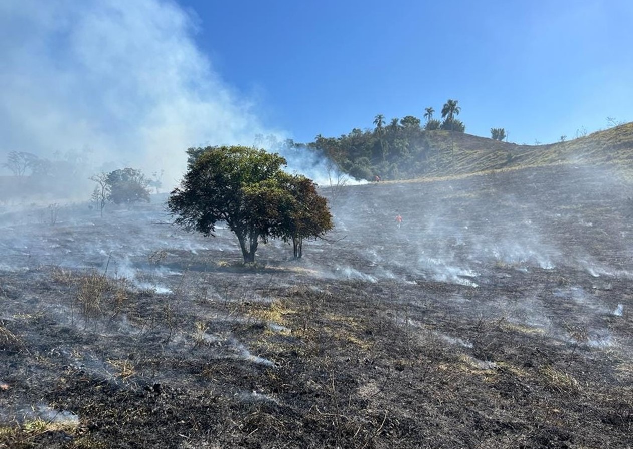 Incêndio consome área de 11 hectares em Taubaté