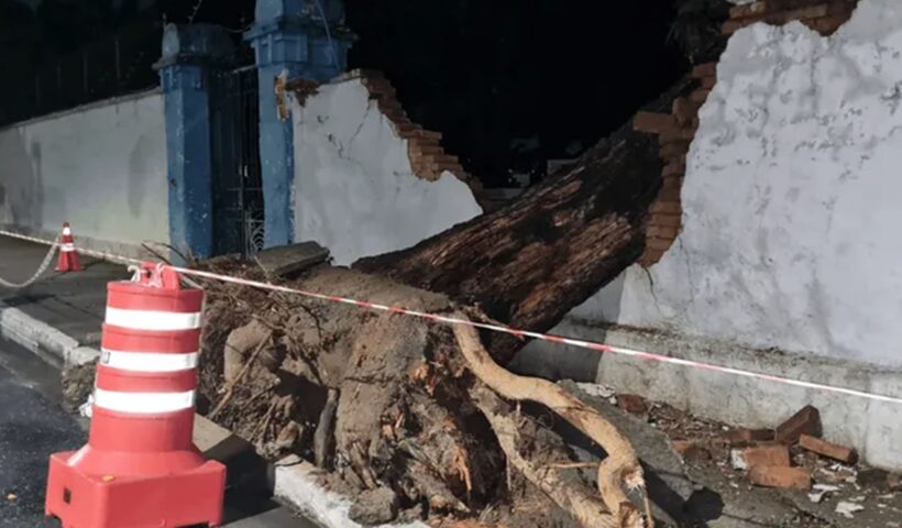 Árvore cai e destrói muro de cemitério em Jacareí