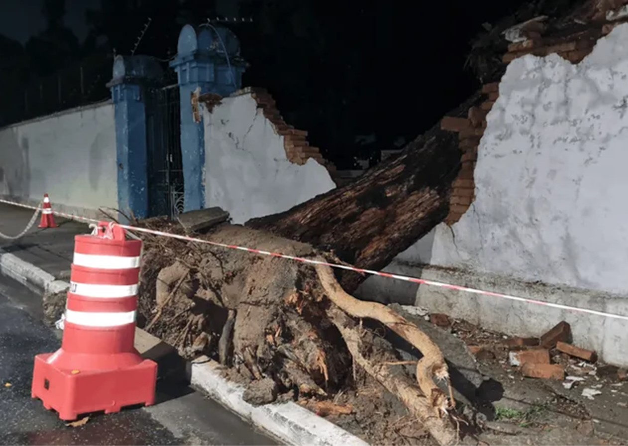 Árvore cai e destrói muro de cemitério em Jacareí