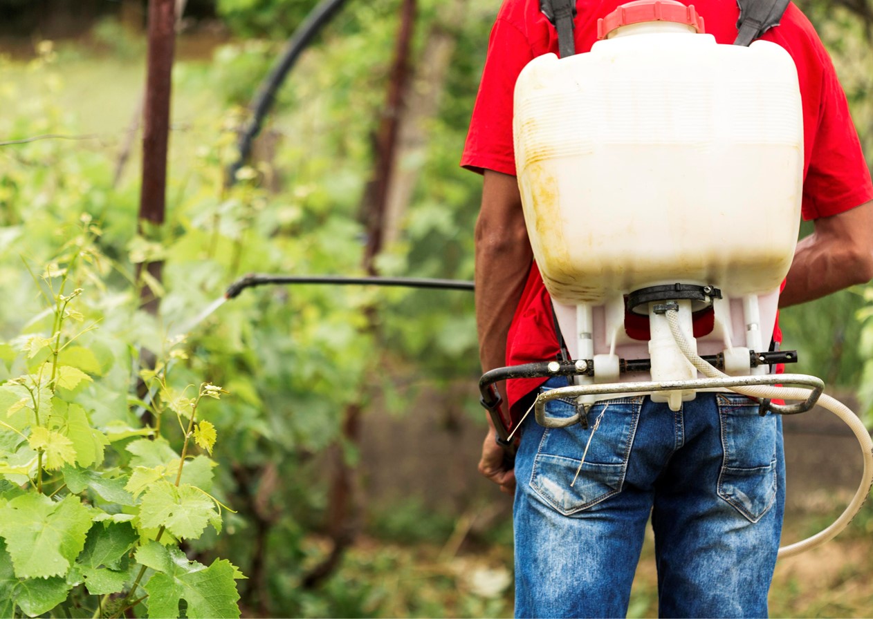 Senado aprova mudanças no registro de agrotóxicos