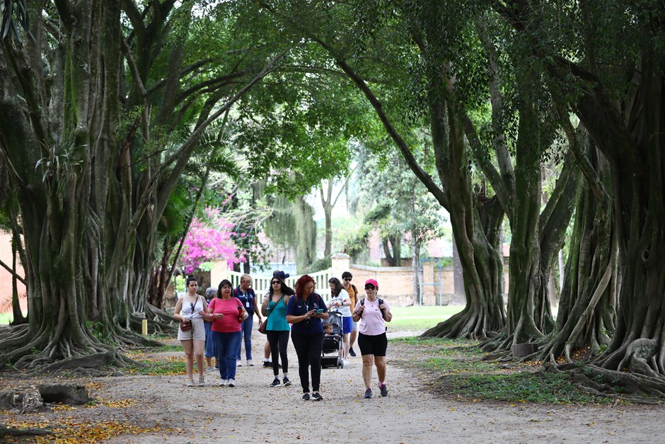 Último City Tour do ano vai visitar as atrações do Parque da Cidade