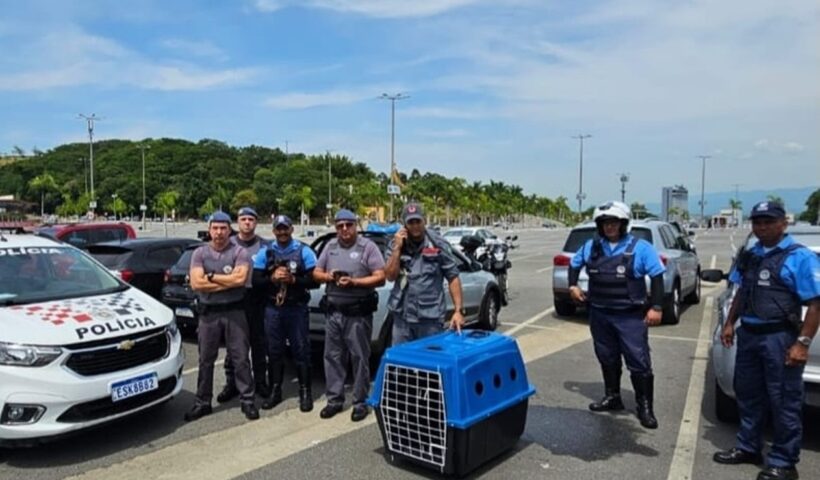 Polícia resgata cães trancados em carro no estacionamento do Santuário Nacional de Aparecida