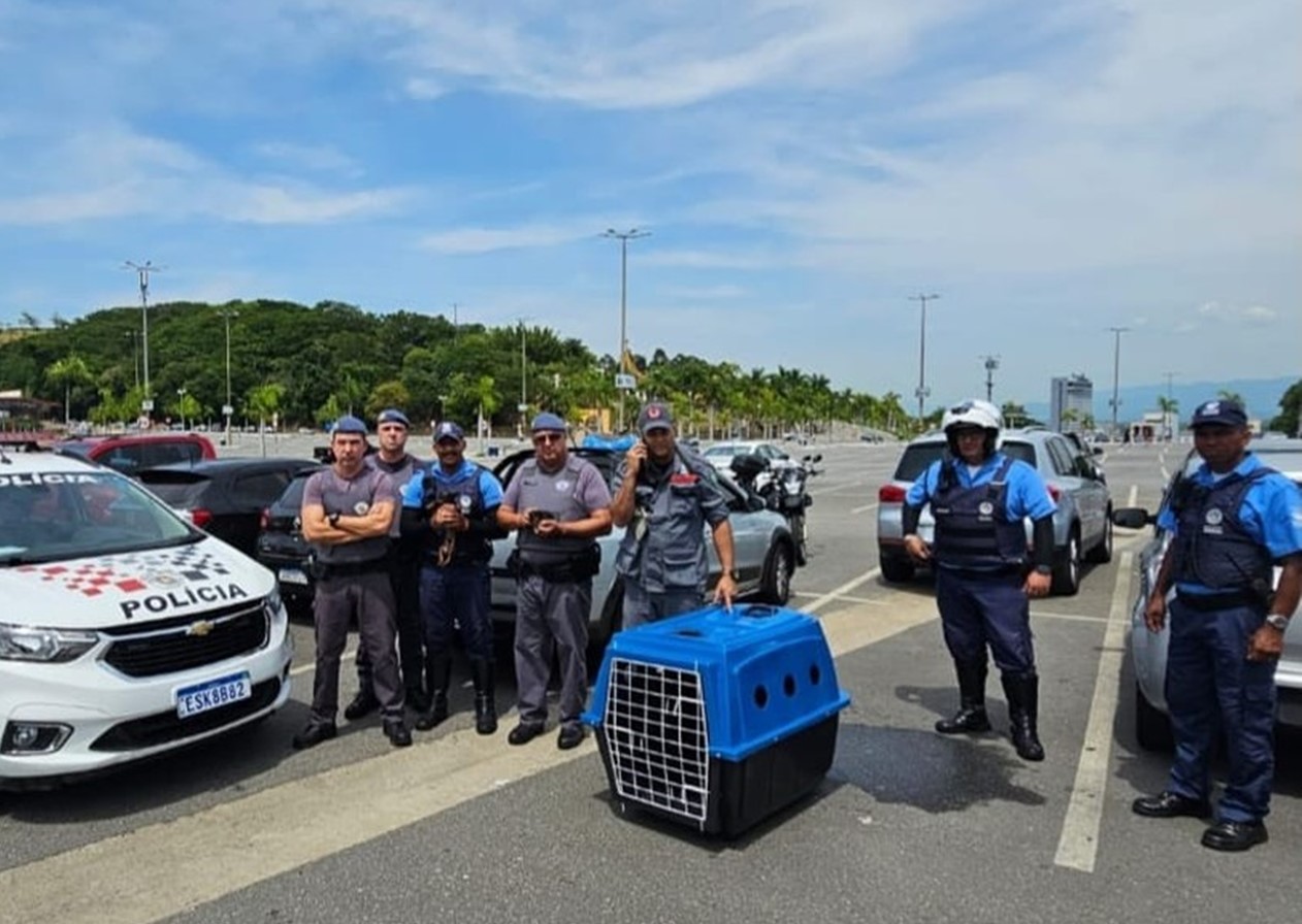 Polícia resgata cães trancados em carro no estacionamento do Santuário Nacional de Aparecida