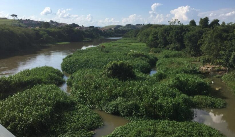 Corpo é encontrado no Rio Paraíba em Jacareí