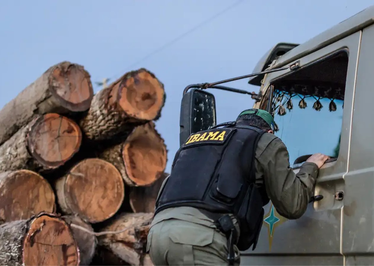 Servidores do Ibama prometem suspender fiscalização ambiental 