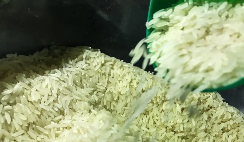 Governo autoriza compra de 1 milhão de toneladas de arroz