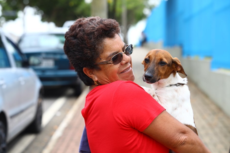 Meu Pet Feliz oferece mais 1.000 vagas para castração