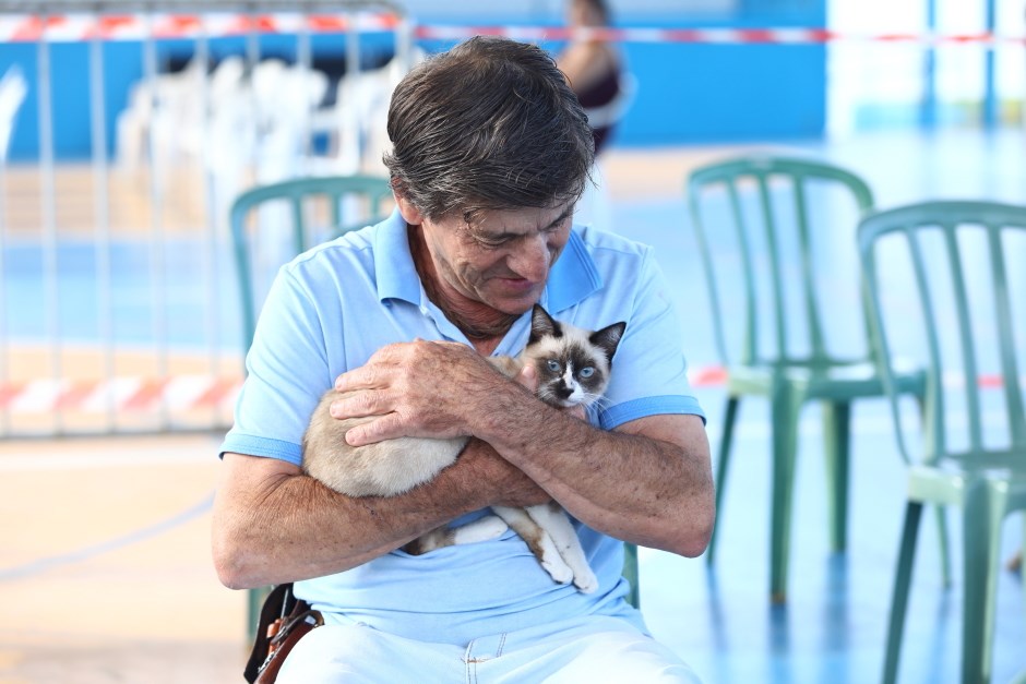 Meu Pet Feliz tem 1.000 vagas para castração e microchipagem