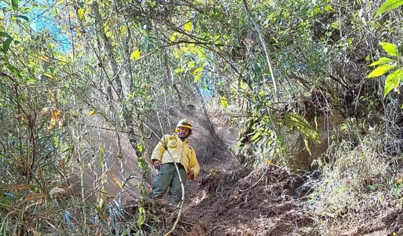 Após oito dias, incêndio no Parque Nacional do Itatiaia é extinto