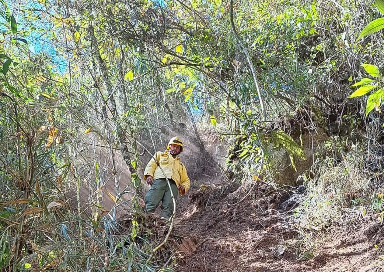 Após oito dias, incêndio no Parque Nacional do Itatiaia é extinto