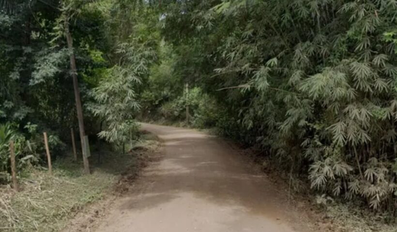 Idoso é atacado por cão em Santo Antônio do Pinhal