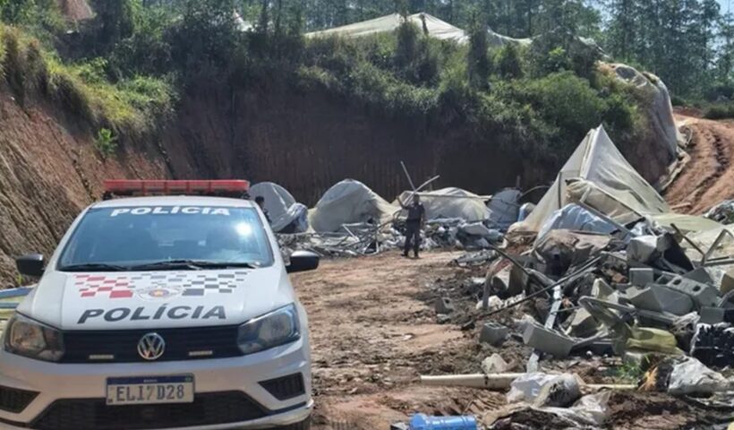 Polícia elimina plantação com 28 mil pés de maconha em Jacareí