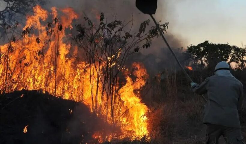 MPF aciona justiça para contratação de brigadistas contra incêndios