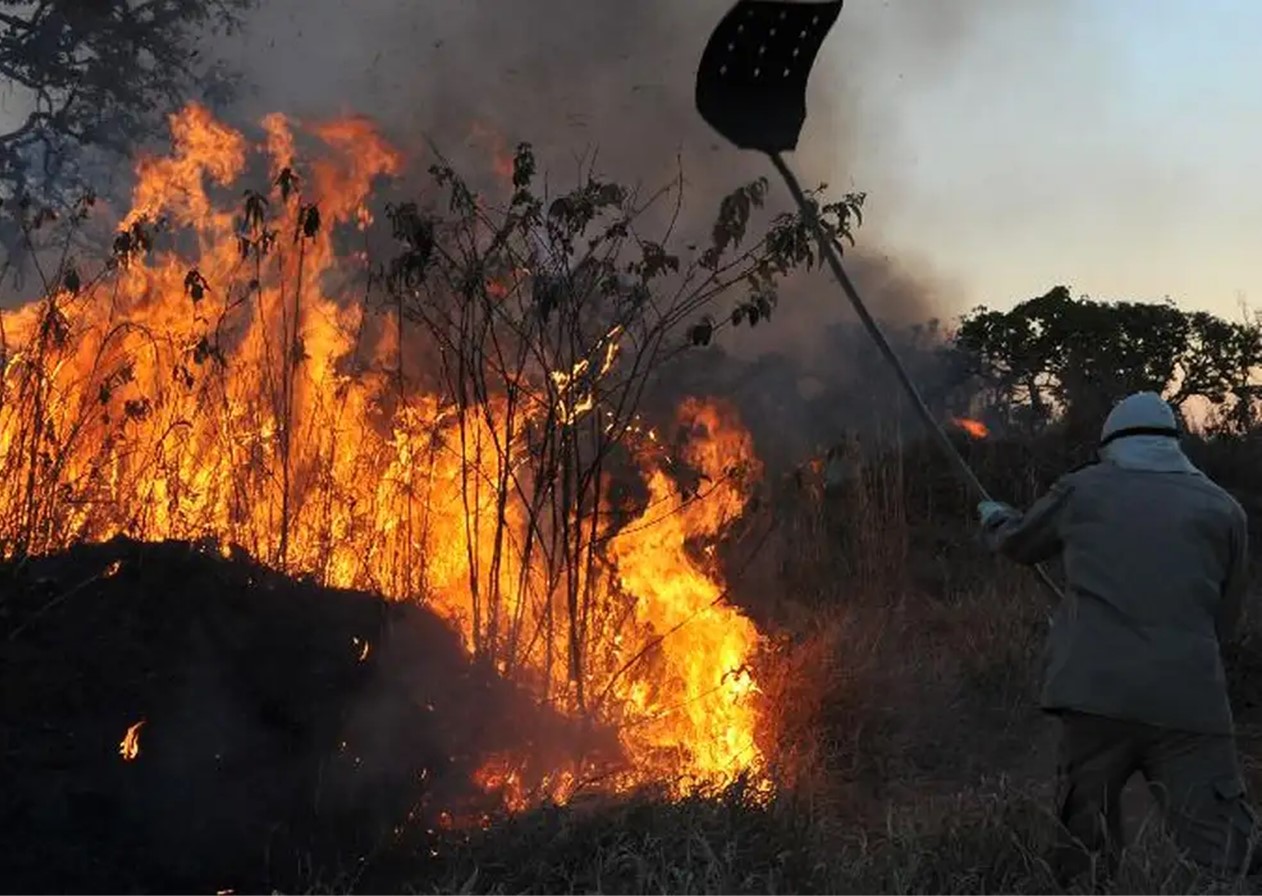 MPF aciona justiça para contratação de brigadistas contra incêndios