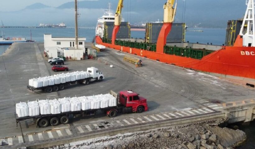 Porto de São Sebastião retoma transporte de café após 60 anos