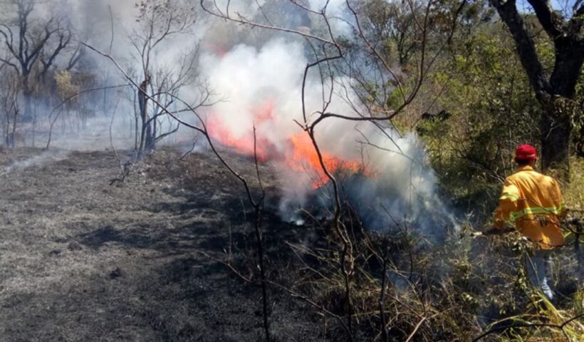 Governo de SP reabre parque em Campos do Jordão; em Bananal, permanece o combate a incêndios