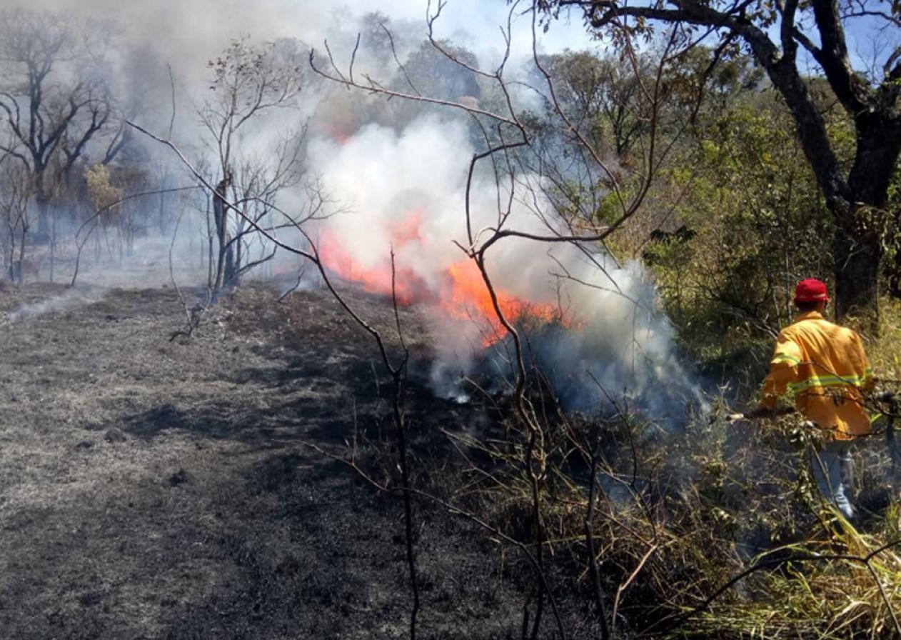 Governo de SP reabre parque em Campos do Jordão; em Bananal, permanece o combate a incêndios