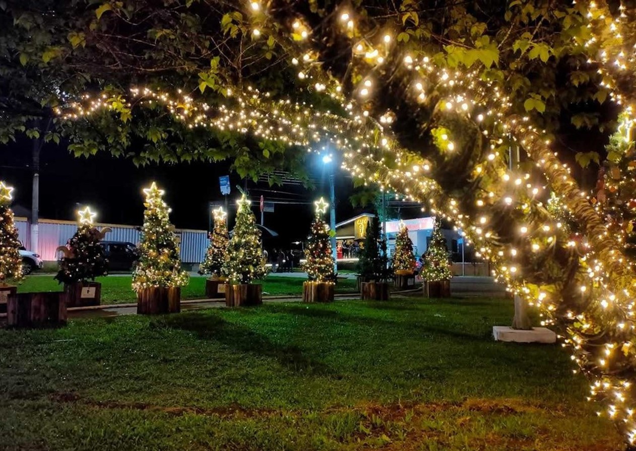 Campos do Jordão inaugura decoração de Natal