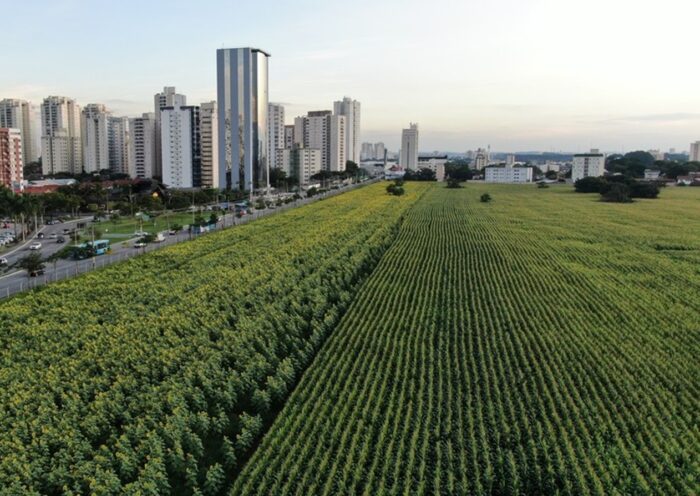 Projeto para a criação de um bairro no 'Terreno das Vaquinhas', em São José, entra na fase de registro